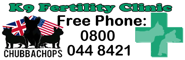 K9 Fertility Clinic