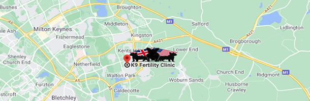 find K9 Ultrasound Scan by K9 Fertility Clinic