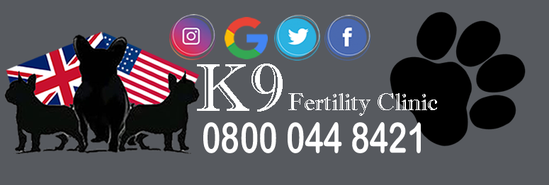 K9 Fertility Clinic in Crownhill