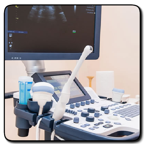 K9 Ultrasound Scanning by K9 Fertility Clinic